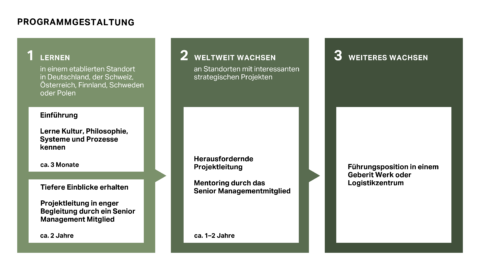 Ein Diagramm zur Programmgestaltung mit drei Phasen: Lernen, Weltweit Wachsen und Weiteres Wachsen.