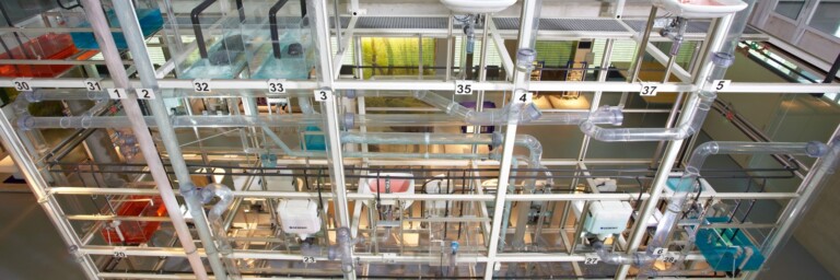 A water tower with transparent pipes to show the water movment.