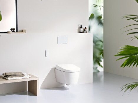 Modern bathroom interior featuring a wall-mounted toilet, a simple bench with a towel, and green plants.