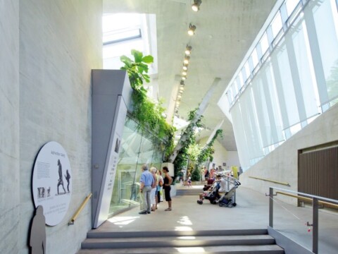 Bright interior of a modern building featuring large windows, green plants, and people interacting in the space.