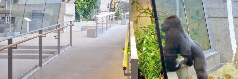 A spacious indoor exhibit featuring a gorilla behind glass, with green plants and a wide walkway.