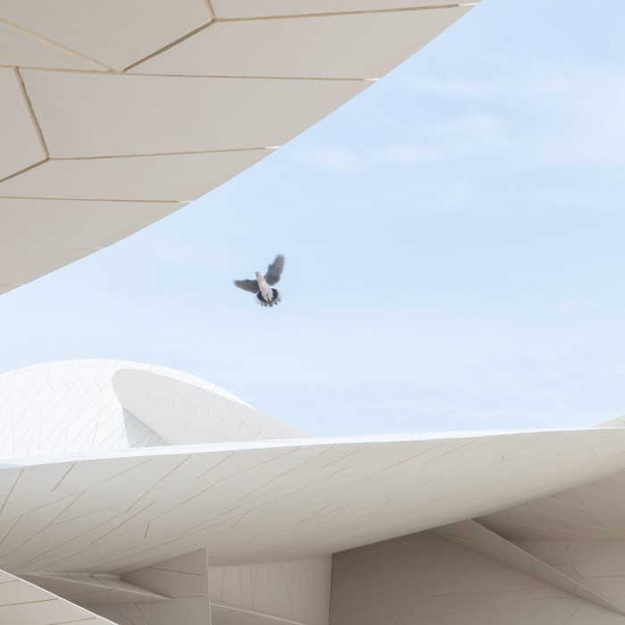 Ein moderner, architektonischer Komplex mit geschwungenen, weissen Strukturen und einem Vogel, der darüber fliegt.