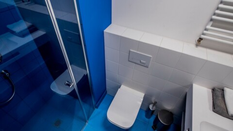 Modern bathroom with a blue accent wall, featuring a toilet, glass shower, and sink area.