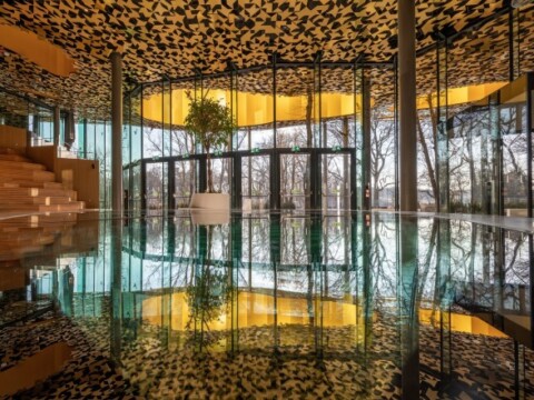 Moderne Innenarchitektur mit einer gläsernen Wand, einem reflektierenden Boden und einer Pflanze.