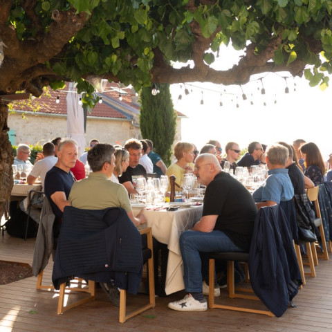 Eine Gruppe von Menschen sitzt an einem festlich gedeckten Tisch unter einem grossen Baum in einem Garten.