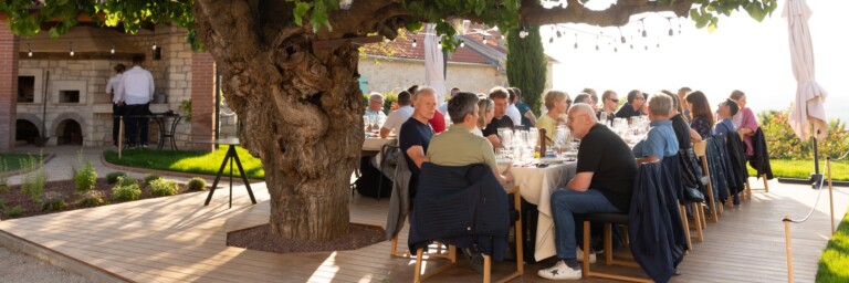 Eine Gruppe von Menschen sitzt an einem festlich gedeckten Tisch unter einem grossen Baum in einem Garten.