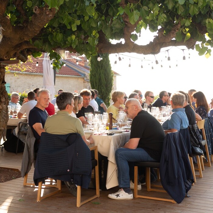 Eine Gruppe von Menschen sitzt an einem festlich gedeckten Tisch unter einem grossen Baum in einem Garten.