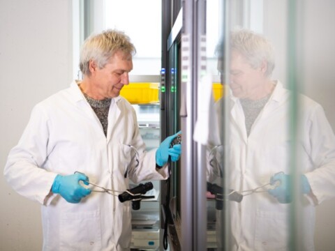 A scientist in a lab coat and gloves examines equipment inside a glass-fronted laboratory cabinet.