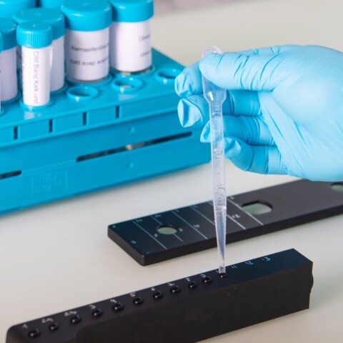 Ein Laborgestell mit Reagenzgläsern und einer Hand mit blauem Handschuh, die eine Pipette mit Flüssigkeit über einen Teststreifen hält.