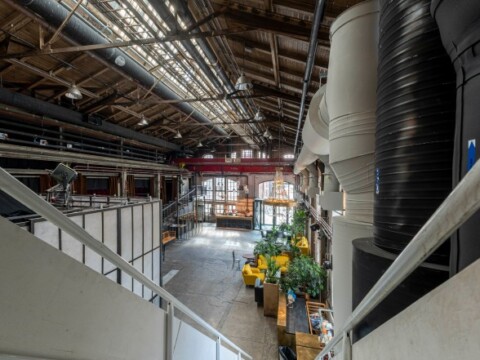 Interior of a spacious industrial building with a high ceiling, large windows, and scattered greenery.