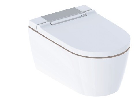 Weisses, modernes WC mit abgerundeter Form und Deckel, der eine Metallverzierung hat.