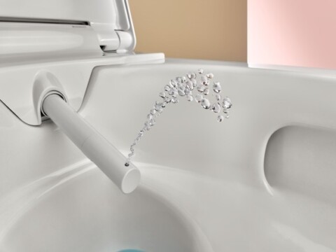 A close-up of the white shower arm from the toilet.