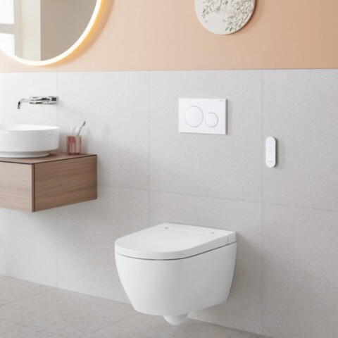 A modern bathroom featuring a floating wooden vanity with a sink, a round mirror and a wall-mounted toilet.