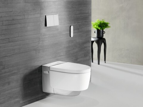 A modern, wall-mounted toilet in a minimalist bathroom with gray walls and a small plant on a black side table.