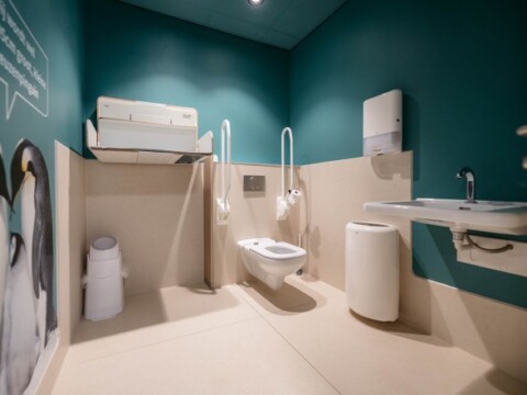 Accessible restroom featuring a toilet with grab bars, a sink, a hand dryer, and a changing table, set against a teal wall.