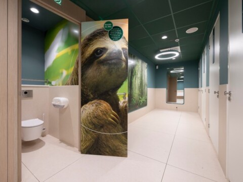A modern restroom interior featuring a sloth-themed door, green accents, and a bright, clean design.