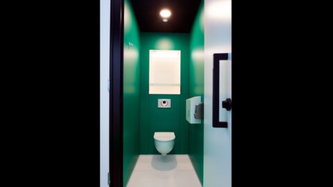 Ein modernes, minimalistisches Badezimmer mit grünen Wänden und einer weissen Toilette in der Mitte.