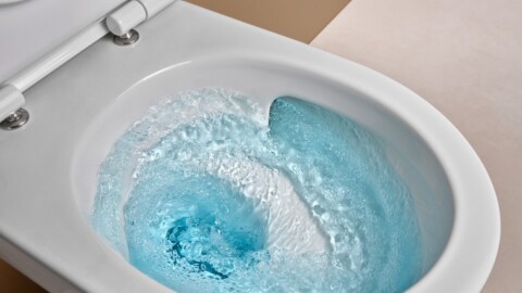 Ein Toilettenbecken mit klarem Wasser, das in einem Wirbel abfliesst.