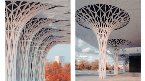 Moderne Architektur mit baumartigen Säulen, die einen offenen Raum strukturieren, umgeben von herbstlicher Landschaft.