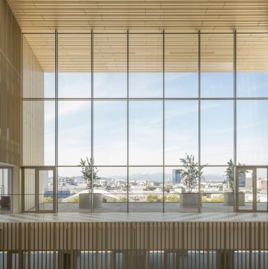 Moderne Architektur mit grossen Fenstern, Holzverkleidungen und Pflanzen auf einem Balkon mit Aussicht.