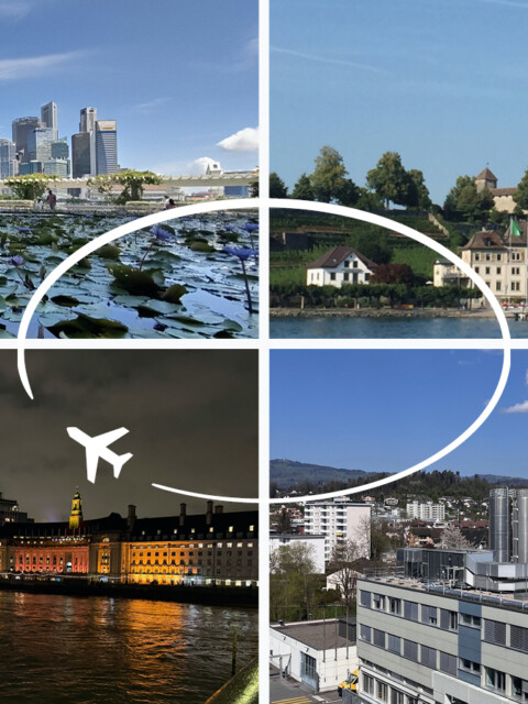 A collage featuring four pictures: a city skyline with skyscrapers, a historic town with a castle, a night view of a city waterfront with a ferris wheel, and a modern building with signage.