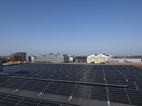 A rooftop covered with solar panels, overlooking modern buildings and a clear blue sky.