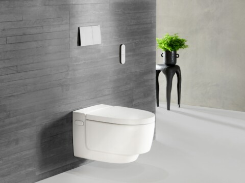 Moderne Toilette an einer grauen Wand, daneben ein eleganter Tisch mit einer Pflanze.